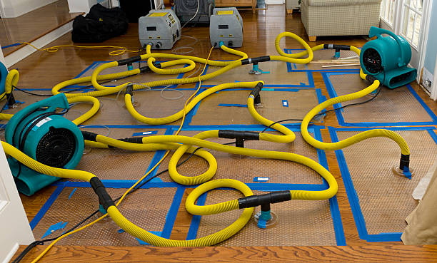 Professional Burst Pipe Water Damage technician working in Portland, IN
